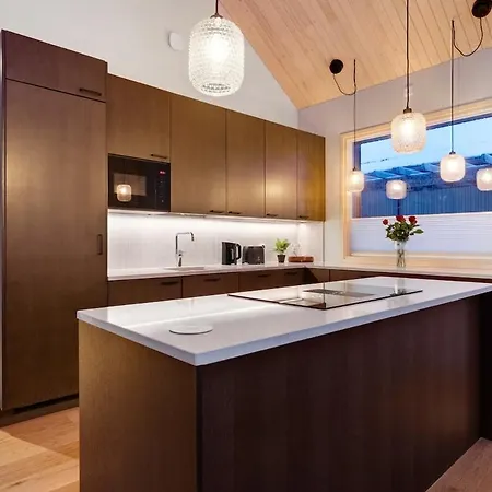 Arctic Modern In With Jacuzzi וילה רובניימי