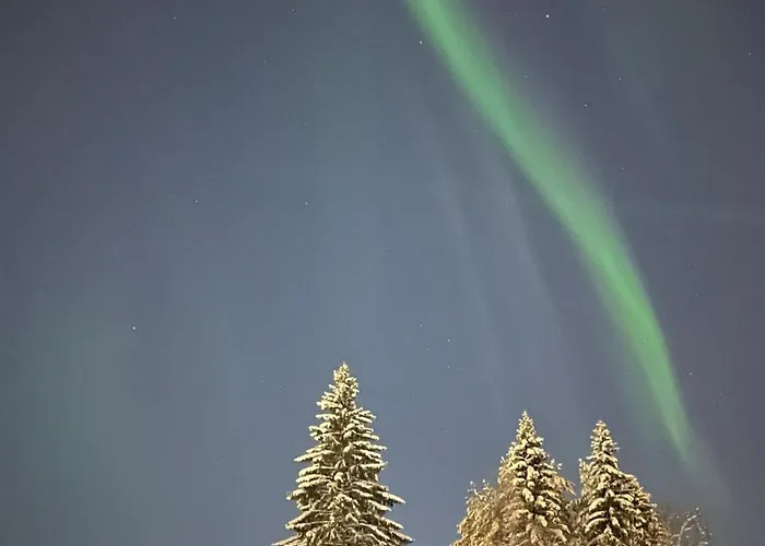 Arctic Modern In With Jacuzzi
